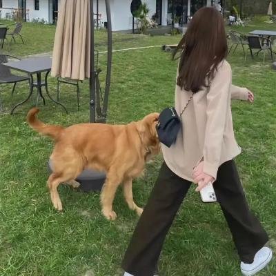 伟大的冒险
